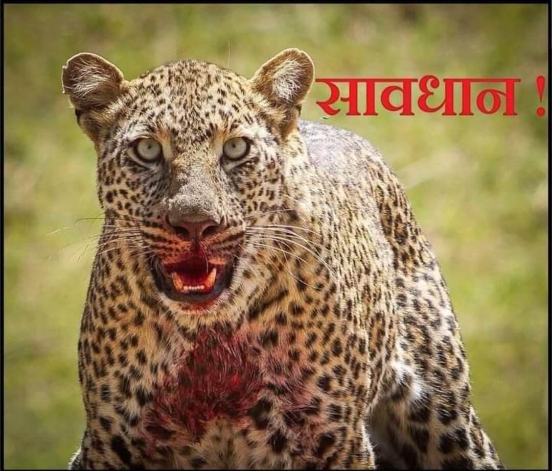 Screenshot_2024-01-16-21-39-24-74_a23b203fd3aafc6dcb84e438dda678b6