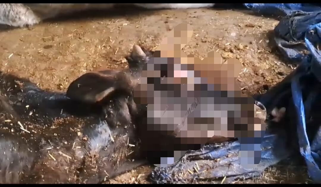 Screenshot_2024-01-24-23-05-33-87_6012fa4d4ddec268fc5c7112cbb265e7